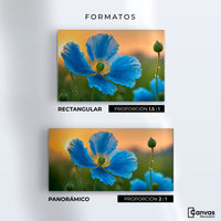Cuadros Decorativos Canvas Revolution | Sueno De Amapolas | Formatos