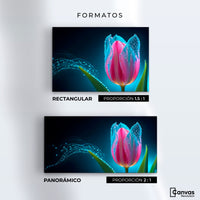 Cuadros Decorativos Canvas Revolution | Tulipan Aura Viva | Formatos