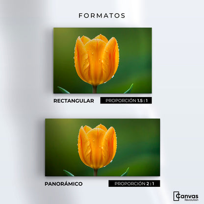 Cuadros Decorativos Canvas Revolution | Tulipan En Verde | Formatos