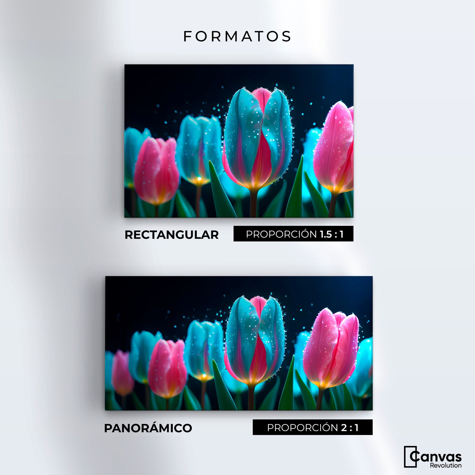 Cuadros Decorativos Canvas Revolution | Tulipanes Fragancia | Formatos