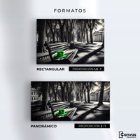 Cuadros Decorativos Canvas Revolution | Verde En Descanso | Formatos