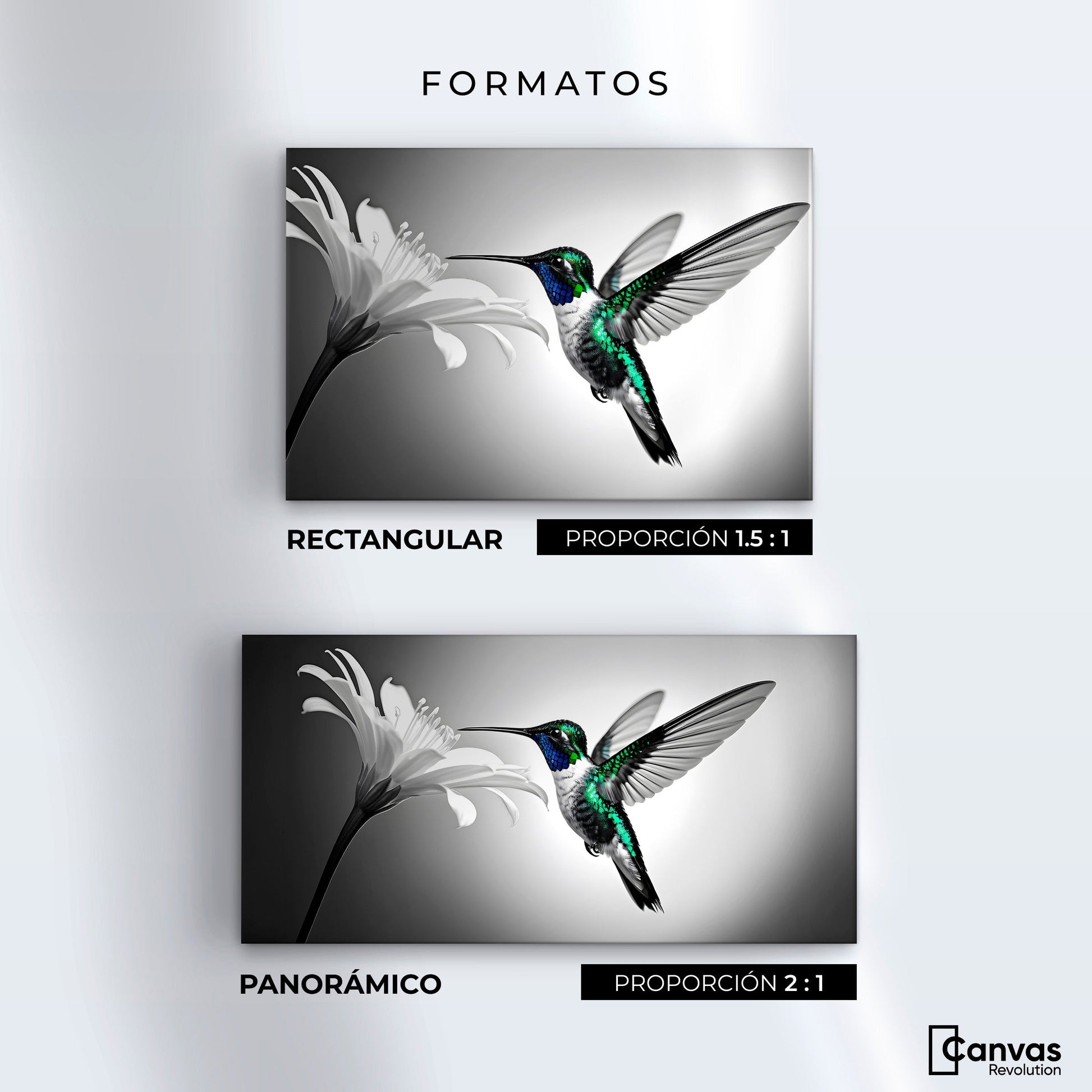 Cuadros Decorativos Canvas Revolution | Verde En Vuelo | Formatos