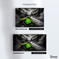 Cuadros Decorativos Canvas Revolution | Verde Silencio | Formatos