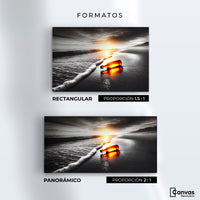 Cuadros Decorativos Canvas Revolution | Viento Y Cristal | Formatos