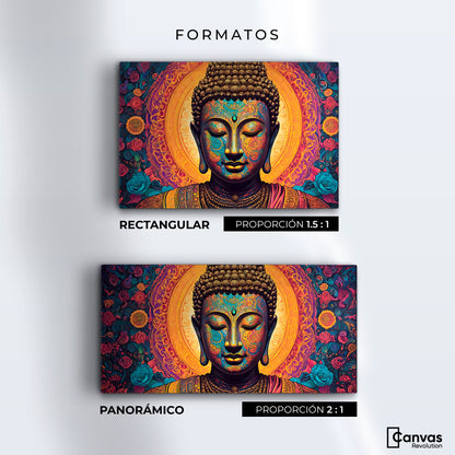 Cuadros Decorativos Canvas Revolution | Vortice Psicodelico | Formatos