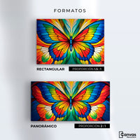 Cuadros Decorativos Canvas Revolution | Vuelo Fragmentado | Formatos