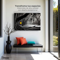 Cuadros Decorativos Canvas Revolution | Bosque Iluminado | Montaje1