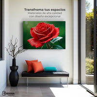 Cuadros Decorativos Canvas Revolution | Brillo Rosa Luz | Montaje1
