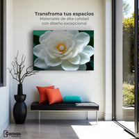 Cuadros Decorativos Canvas Revolution | Camelia Eterna Flor | Montaje1