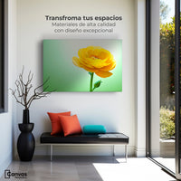 Cuadros Decorativos Canvas Revolution | Canto De Ranunculo | Montaje1