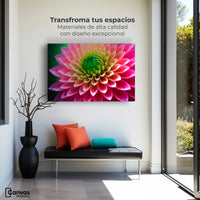 Cuadros Decorativos Canvas Revolution | Dalia Brillo Vivo | Montaje1