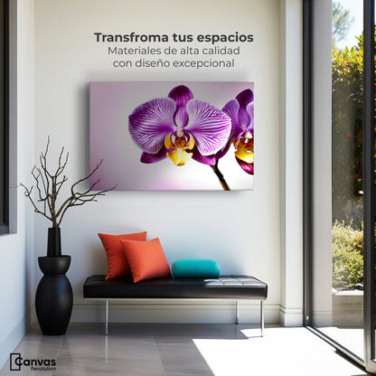 Cuadros Decorativos Canvas Revolution | Esencia Violeta | Montaje1