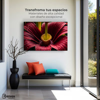 Cuadros Decorativos Canvas Revolution | Eterna Flor Extrana | Montaje1