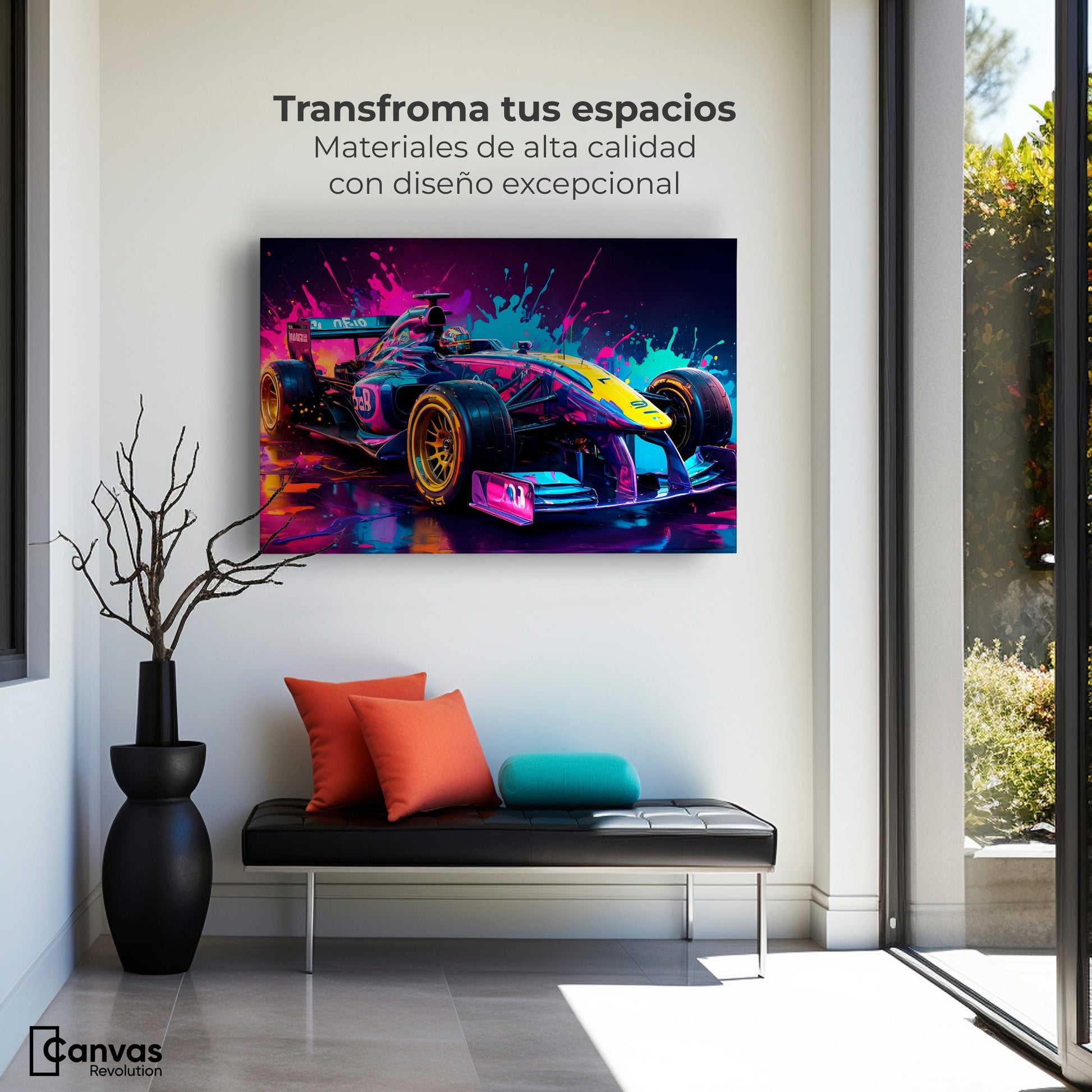 Cuadros Decorativos Canvas Revolution | Furia Multicolor | Montaje1