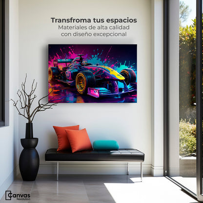 Cuadros Decorativos Canvas Revolution | Furia Multicolor | Montaje1