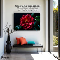 Cuadros Decorativos Canvas Revolution | Magia De Camelia | Montaje1