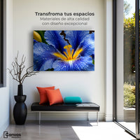 Cuadros Decorativos Canvas Revolution | Magia Flor Iris | Montaje1