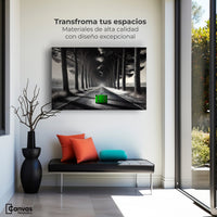 Cuadros Decorativos Canvas Revolution | Maleta Solitaria | Montaje1