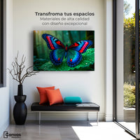 Cuadros Decorativos Canvas Revolution | Mariposa De Selva | Montaje1