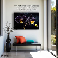 Cuadros Decorativos Canvas Revolution | Orquidea Bicolor | Montaje1