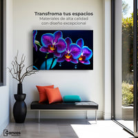 Cuadros Decorativos Canvas Revolution | Orquidea Destello | Montaje1