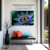 Cuadros Decorativos Canvas Revolution | Pasion Flor Eterna | Montaje1