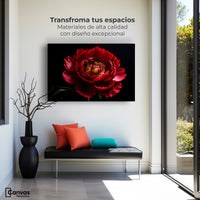 Cuadros Decorativos Canvas Revolution | Peonia De Noche | Montaje1