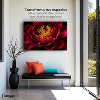Cuadros Decorativos Canvas Revolution | Peonia Dualidad | Montaje1