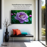 Cuadros Decorativos Canvas Revolution | Peonia Morada Viva | Montaje1