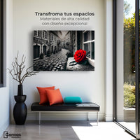 Cuadros Decorativos Canvas Revolution | Piedras Y Petalos | Montaje1
