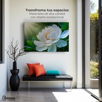 Cuadros Decorativos Canvas Revolution | Rayos De Peonia | Montaje1