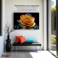 Cuadros Decorativos Canvas Revolution | Rosa Multicolor | Montaje1