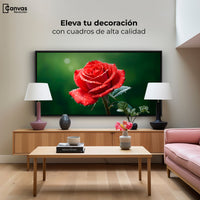 Cuadros Decorativos Canvas Revolution | Brillo Rosa Luz | Montaje2