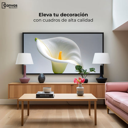 Cuadros Decorativos Canvas Revolution | Cala Brillo Eterno | Montaje2