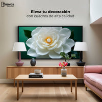 Cuadros Decorativos Canvas Revolution | Camelia Eterna Flor | Montaje2