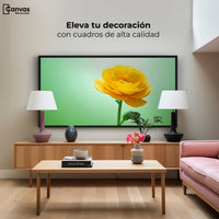 Cuadros Decorativos Canvas Revolution | Canto De Ranunculo | Montaje2