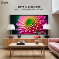 Cuadros Decorativos Canvas Revolution | Dalia Brillo Vivo | Montaje2