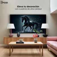 Cuadros Decorativos Canvas Revolution | Elegancia Nocturna | Montaje2