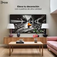 Cuadros Decorativos Canvas Revolution | Flotando Solo | Montaje2