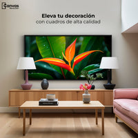 Cuadros Decorativos Canvas Revolution | Heliconia Pura Vida | Montaje2