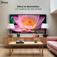 Cuadros Decorativos Canvas Revolution | Loto Dual Radiante | Montaje2