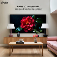 Cuadros Decorativos Canvas Revolution | Magia De Camelia | Montaje2