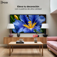 Cuadros Decorativos Canvas Revolution | Magia Flor Iris | Montaje2