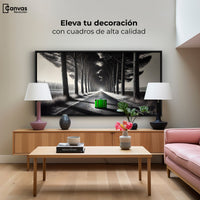 Cuadros Decorativos Canvas Revolution | Maleta Solitaria | Montaje2
