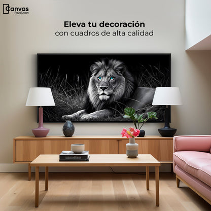 Cuadros Decorativos Canvas Revolution | Mirada Real | Montaje2