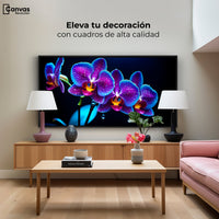 Cuadros Decorativos Canvas Revolution | Orquidea Destello | Montaje2