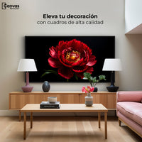 Cuadros Decorativos Canvas Revolution | Peonia De Noche | Montaje2