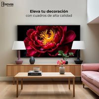 Cuadros Decorativos Canvas Revolution | Peonia Dualidad | Montaje2