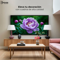 Cuadros Decorativos Canvas Revolution | Peonia Morada Viva | Montaje2