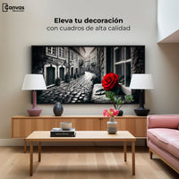 Cuadros Decorativos Canvas Revolution | Piedras Y Petalos | Montaje2